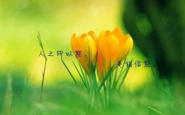 名人优秀事迹和优秀作文优质6篇