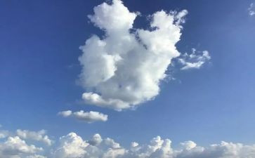 明天的事作文600字7篇