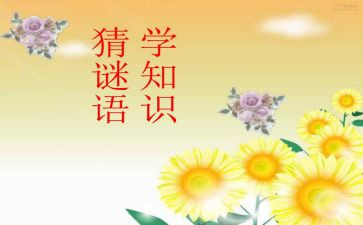 猜谜语的作文5篇