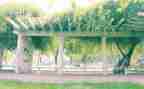 小学感恩母校的演讲稿5篇