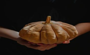 制作南瓜饼作文6篇