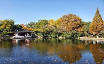 南京作文300字5篇