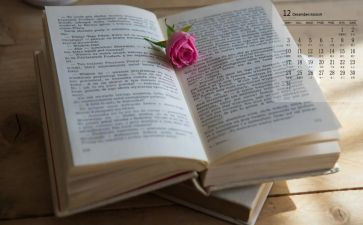难忘的决定800字作文8篇
