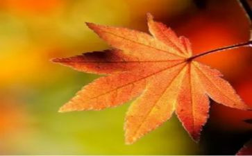 难忘的人400字作文推荐8篇