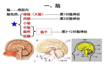 电脑租赁合同6篇