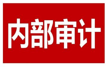 内审站工作计划7篇