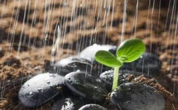 顺境与逆境的作文5篇