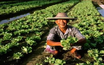 老农民调查报告范文8篇