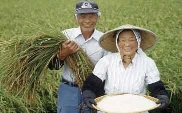 农民培训总结范文5篇