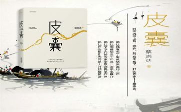皮囊读后感优质7篇
