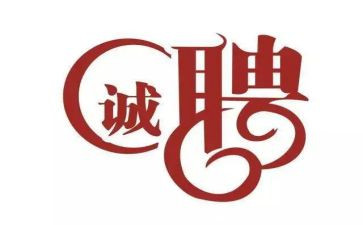 村官聘期工作总结8篇