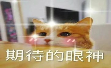 我期待的雪作文最新5篇