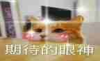 我期待的雪作文最新5篇