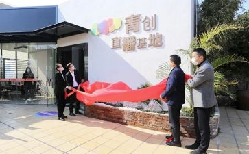 青创协会年度工作总结范文7篇