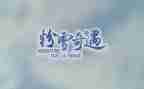 读《木偶奇遇记》读后感优质8篇