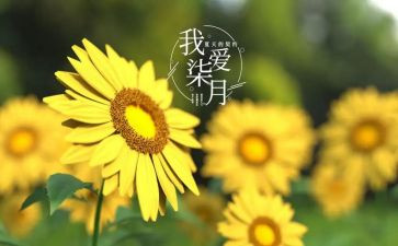 七月份销售工作总结7篇