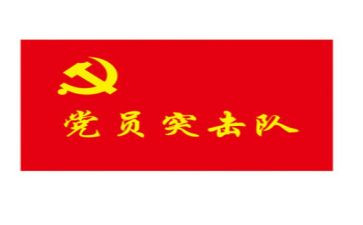 2024年旗帜观后感7篇