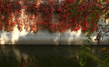 全日制合同通用6篇