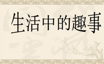 暑假里的趣事作文5篇