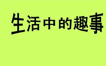 作文趣事的作文300字最新8篇