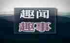 关于作文趣事作文推荐5篇