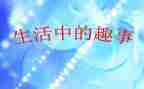 作文趣事的作文模板7篇