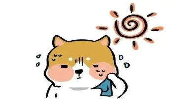 热爱生命作文600字6篇
