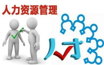 人力年度总结最新5篇