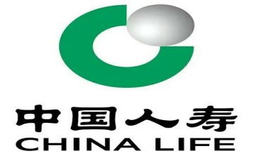 人寿公司培训心得8篇