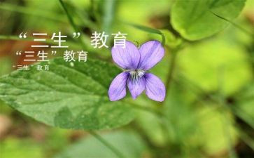 过十三生日的演讲稿6篇