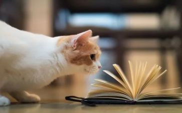 散文读后感优质8篇