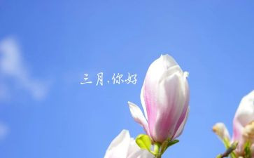 在三月里作文推荐6篇