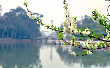 教师三月工作总结参考8篇