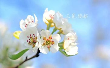中班三月班级工作总结8篇