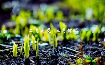 幼儿园三月份月计划6篇