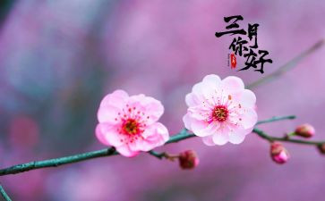 销售三月总结7篇