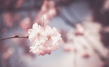 三月学校活动总结7篇