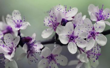 三月演讲稿7篇