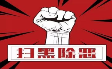 扫黑年度工作总结6篇