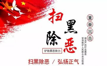 扫黑除恶事迹6篇
