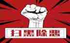 扫黑年度工作总结6篇