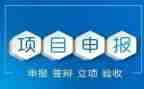 申报工作报告8篇