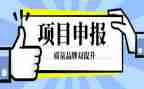 申报工程师工作总结范文6篇