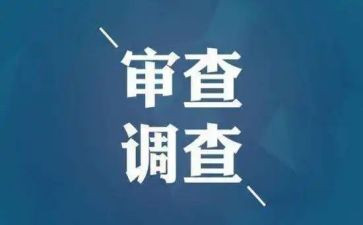 审查工作心得体会5篇