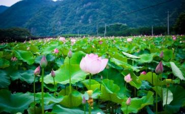 我的生活600字作文7篇