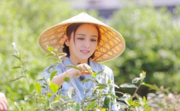 生活部月总结通用8篇
