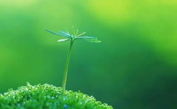 生命教育的心得体会最新5篇
