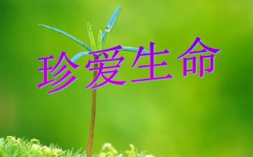 生命3.0读后感参考6篇