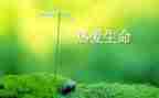 生命生命作文800字作文8篇