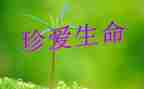 生命安全活动方案5篇